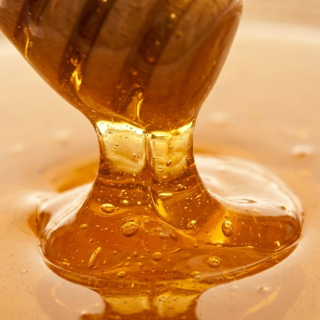 Fermented Ancient Bee Honey